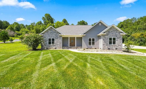 Maison à Strawberry Plains, Tennessee, États-Unis 1