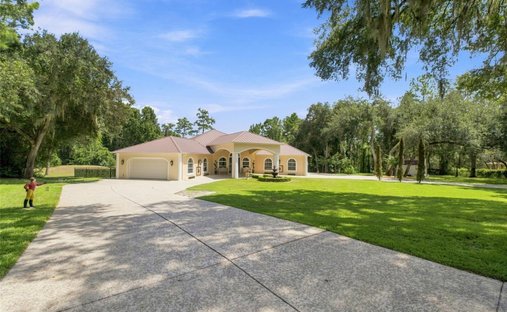 Haus in South Brooksville, Florida, Vereinigte Staaten 1