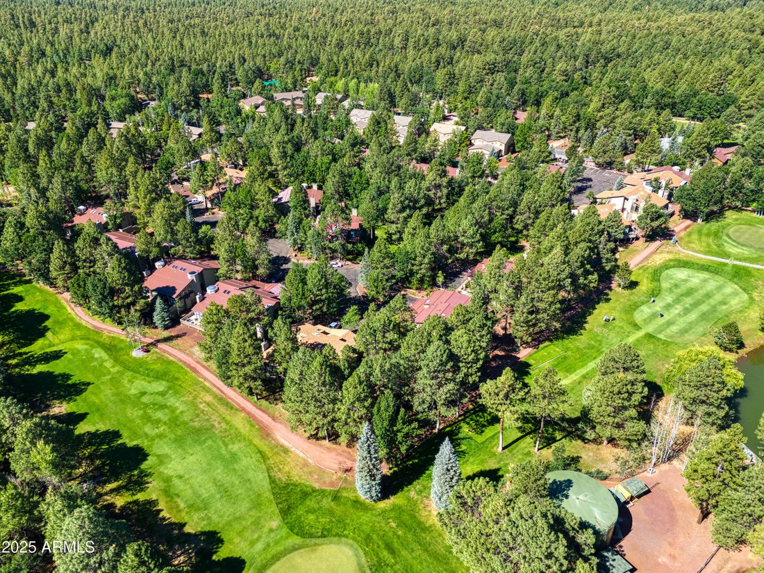 Stadthaus in Pinetop, Arizona, Vereinigte Staaten 2 - 18740017