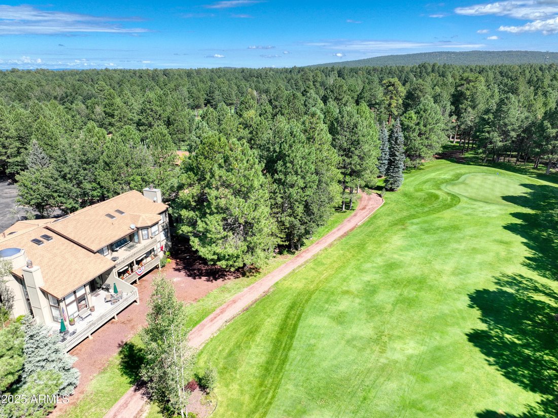 Stadthaus in Pinetop, Arizona, Vereinigte Staaten 1 - 18740017