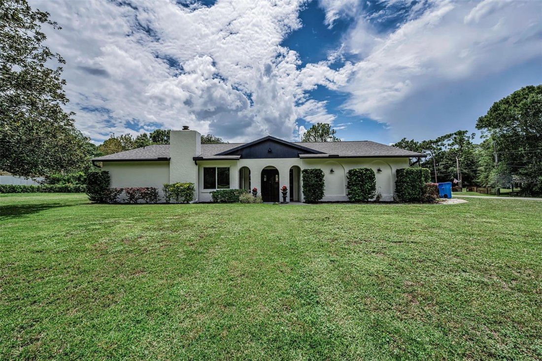 Haus in Odessa, Florida, Vereinigte Staaten 1 - 18743339