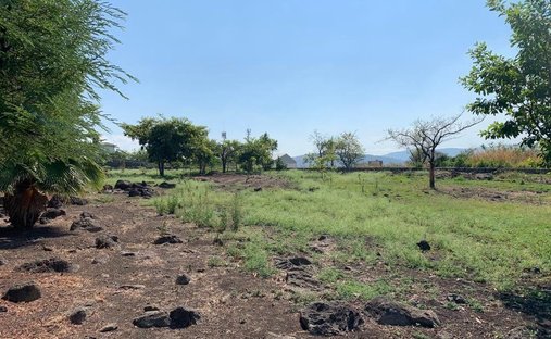 Terrain à Emiliano Zapata, Morelos, Mexique 1