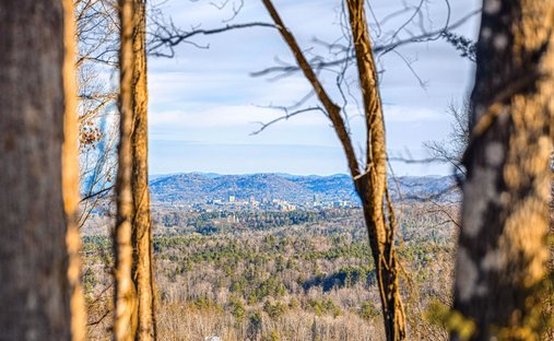 Land in Asheville, North Carolina, United States 1