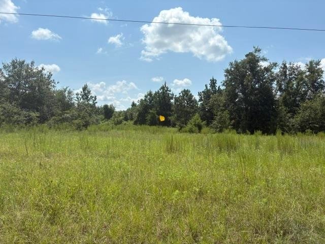 Land in Marianna, Florida, United States 4 - 18743747