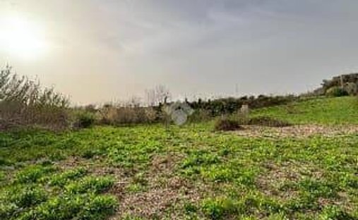 Terreno en Ospedaletto - Coltano, Pisa, Toscana 1