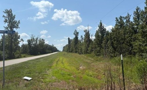 Terrain à Marianna, Floride, États-Unis 1