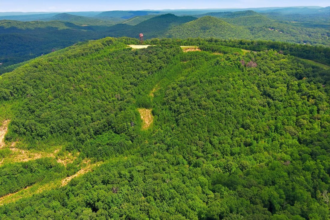 Land in Pinson, Alabama, United States 4 - 18742717