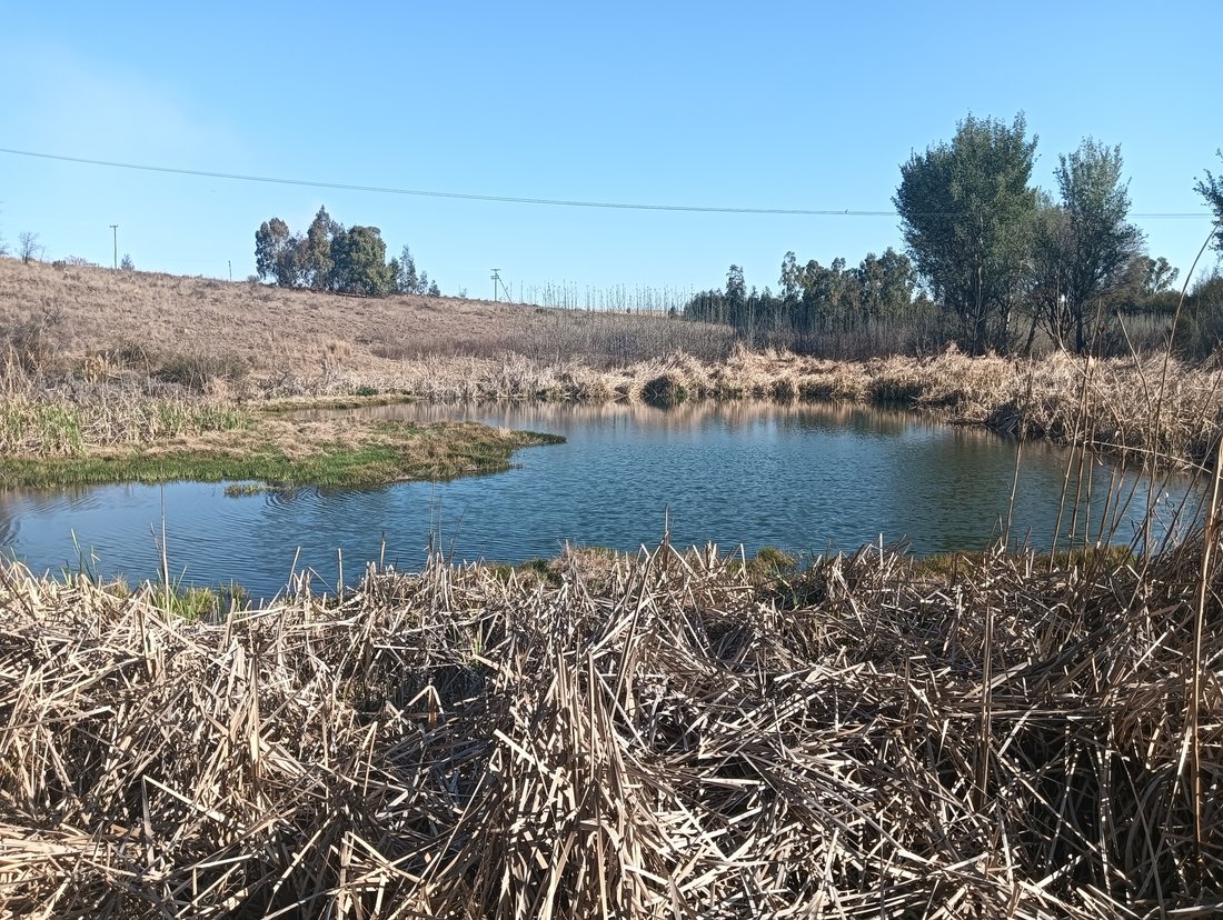 Azienda agricola a Municipalità locale di Mogale City, Gauteng, Sudafrica 2 - 18742139