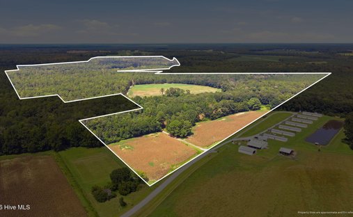 Terrain à Trenton, Caroline du Nord, États-Unis 1