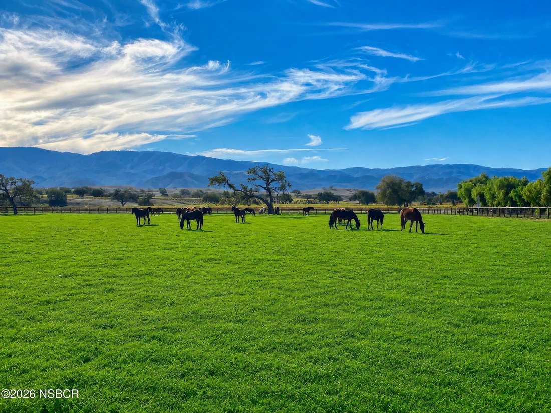 Terrain à Santa Ynez, Californie, États-Unis 2 - 18747077
