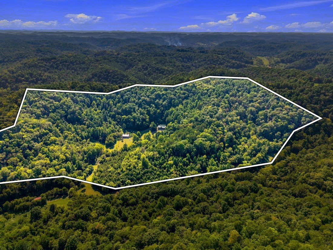 Maison à Pleasant Shade, Tennessee, États-Unis 3 - 18747154