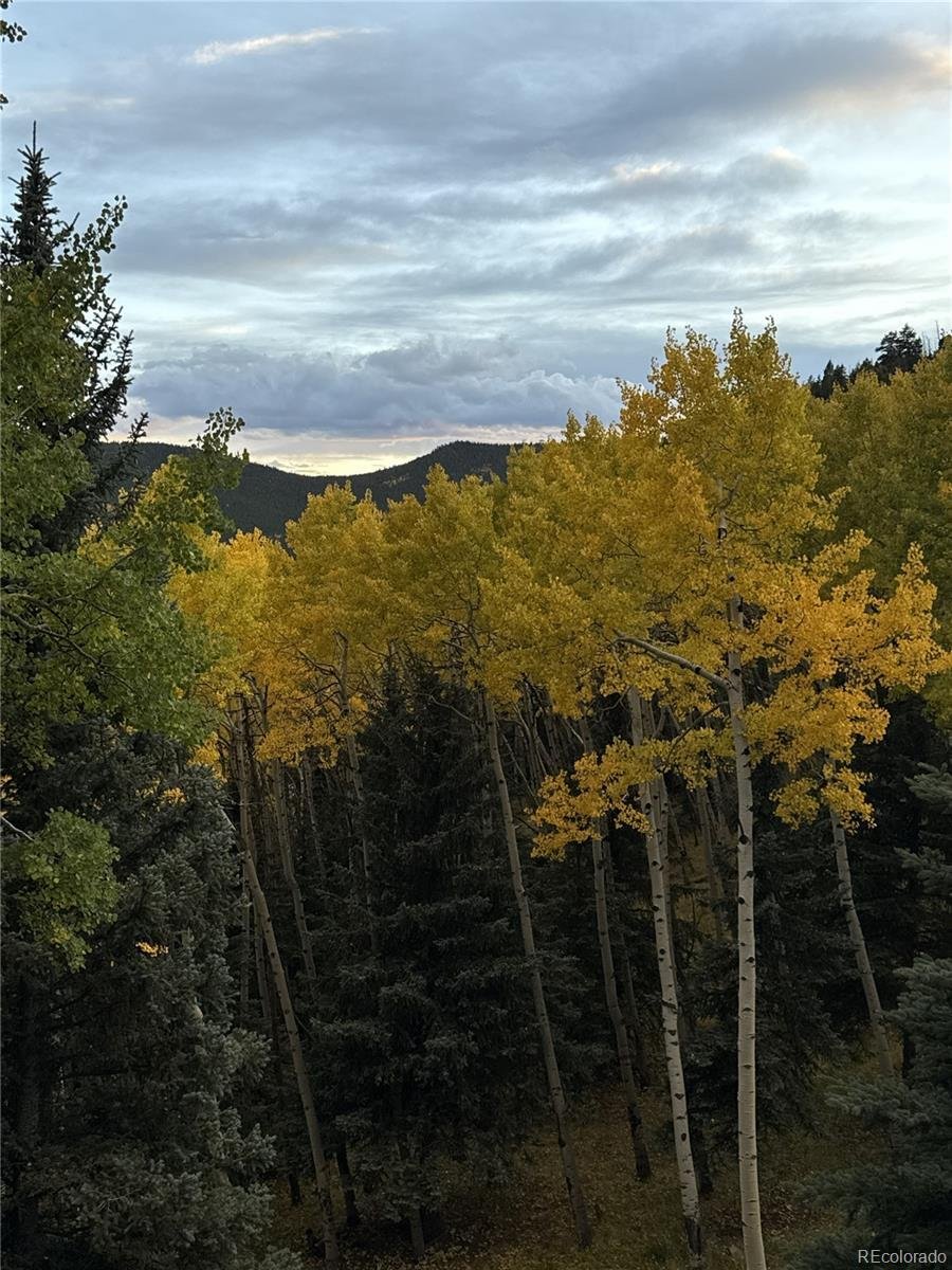 Maison à Evergreen, Colorado, États-Unis 4 - 18747065