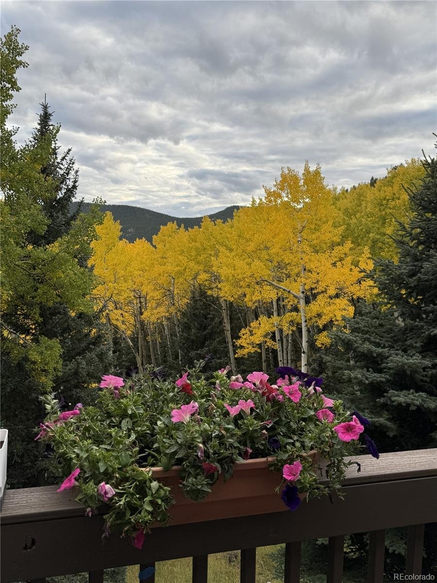 Maison à Evergreen, Colorado, États-Unis 2 - 18747065