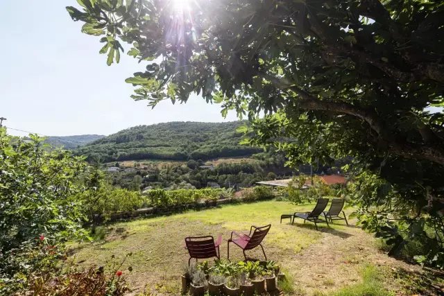 Haus in Beaujeu, Auvergne-Rhone-Alpen, Frankreich 1 - 16245636