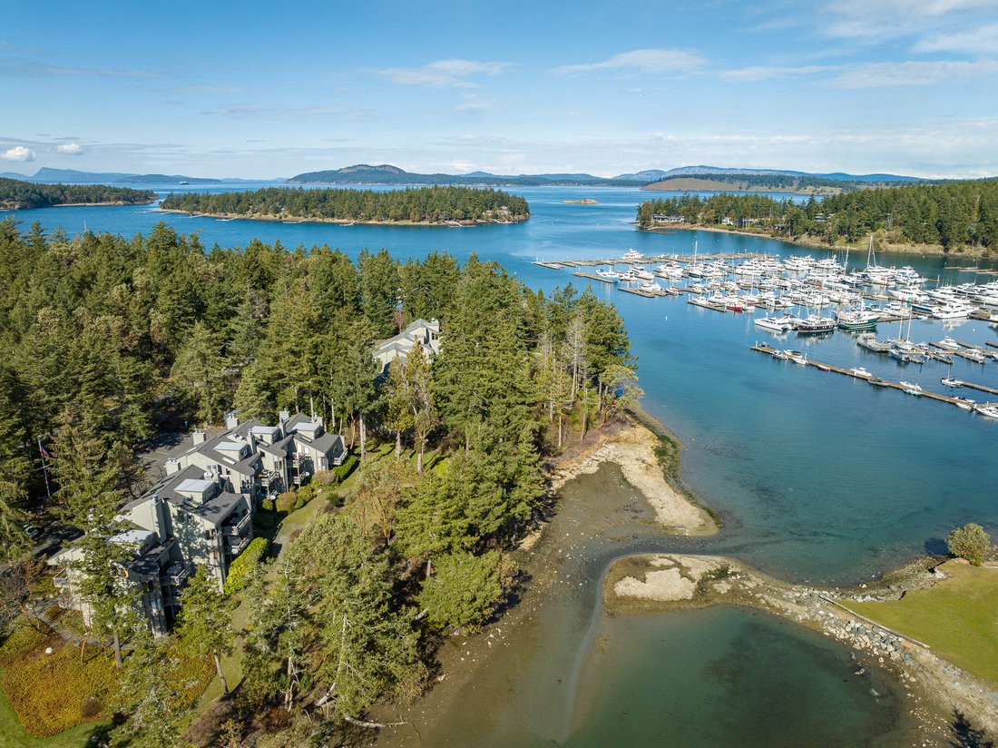 Condominio a Friday Harbor, Washington, Stati Uniti 2 - 18747812