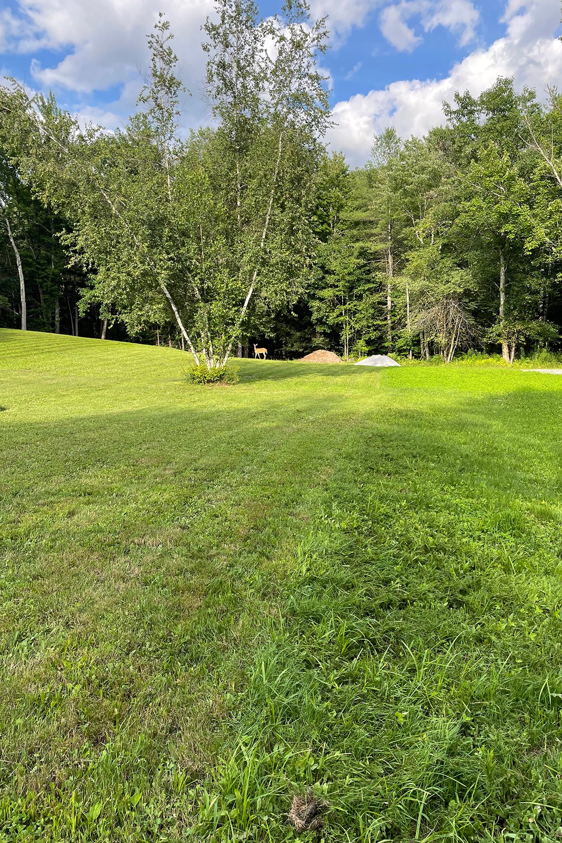 Land in Mendon, Vermont, Vereinigte Staaten 4 - 18747817