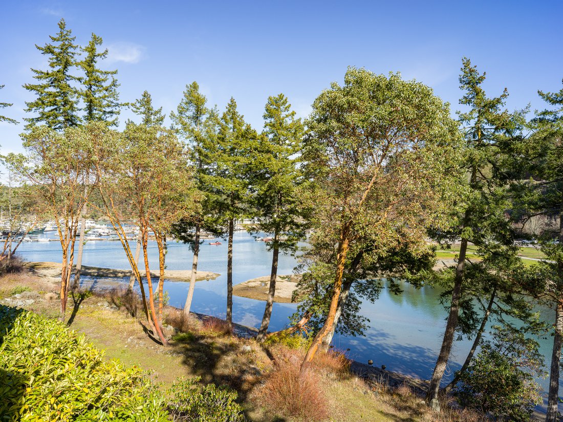 Condominio a Friday Harbor, Washington, Stati Uniti 3 - 18747812