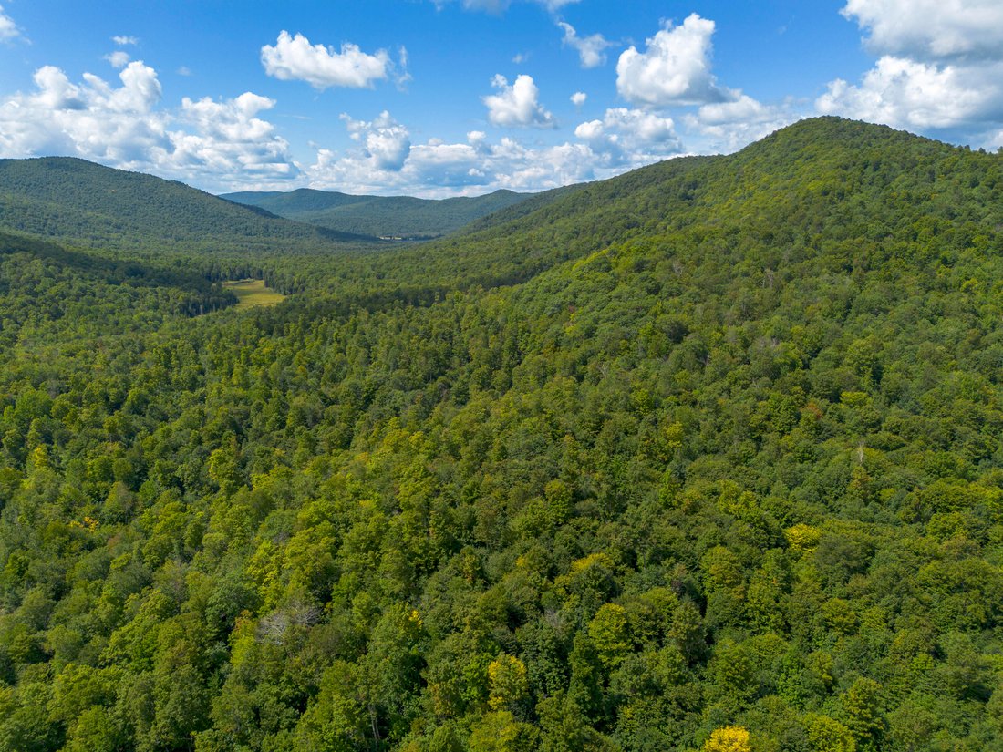 Terrain à Athol, État de New York, États-Unis 1 - 18747742