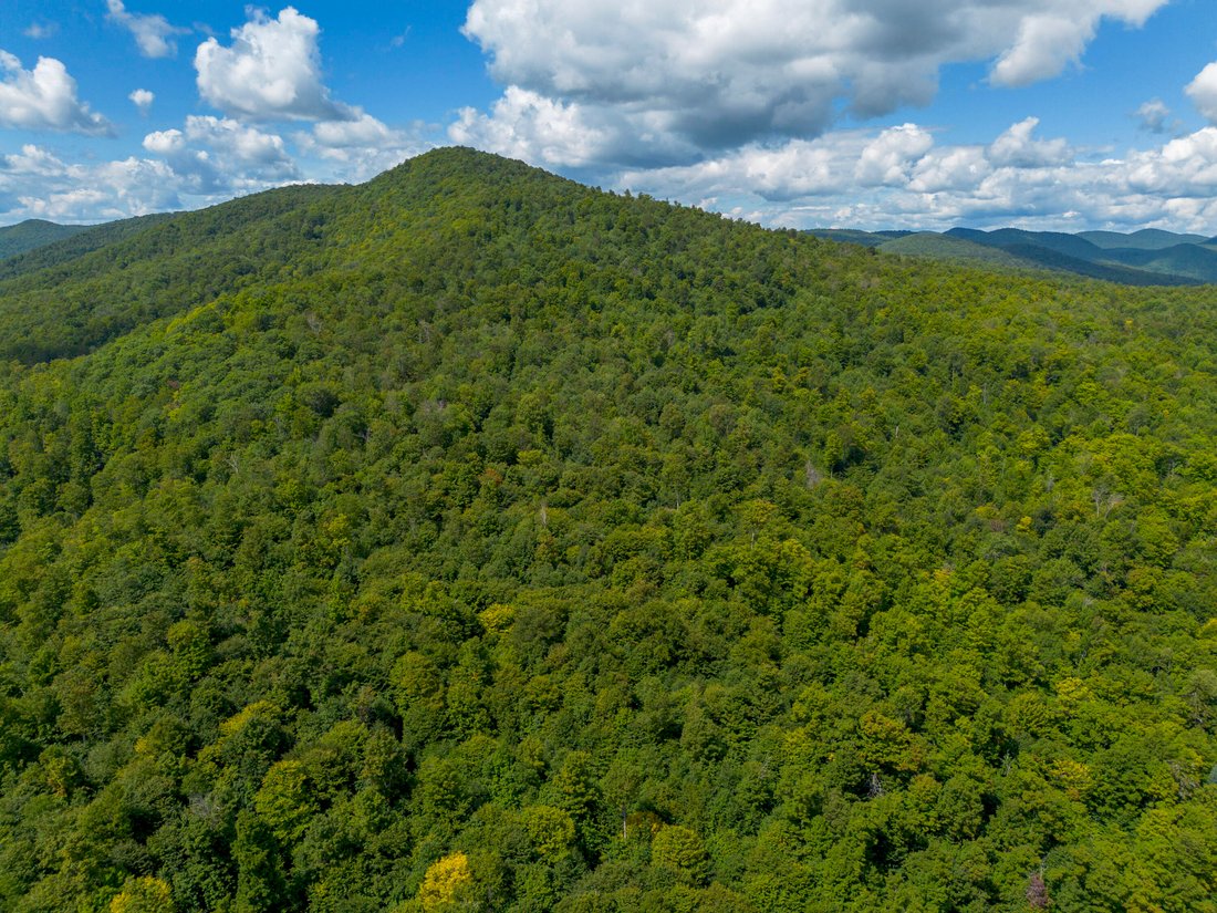 Terrain à Athol, État de New York, États-Unis 3 - 18747742