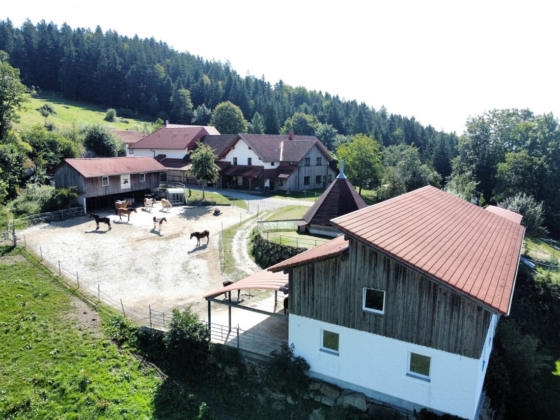 Autres à Pabneukirchen, Haute-Autriche, Autriche 5 - 18747999