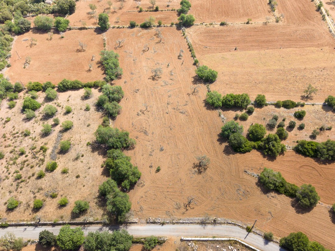 Terrain à Felanitx, Îles Baléares, Espagne 4 - 18748041