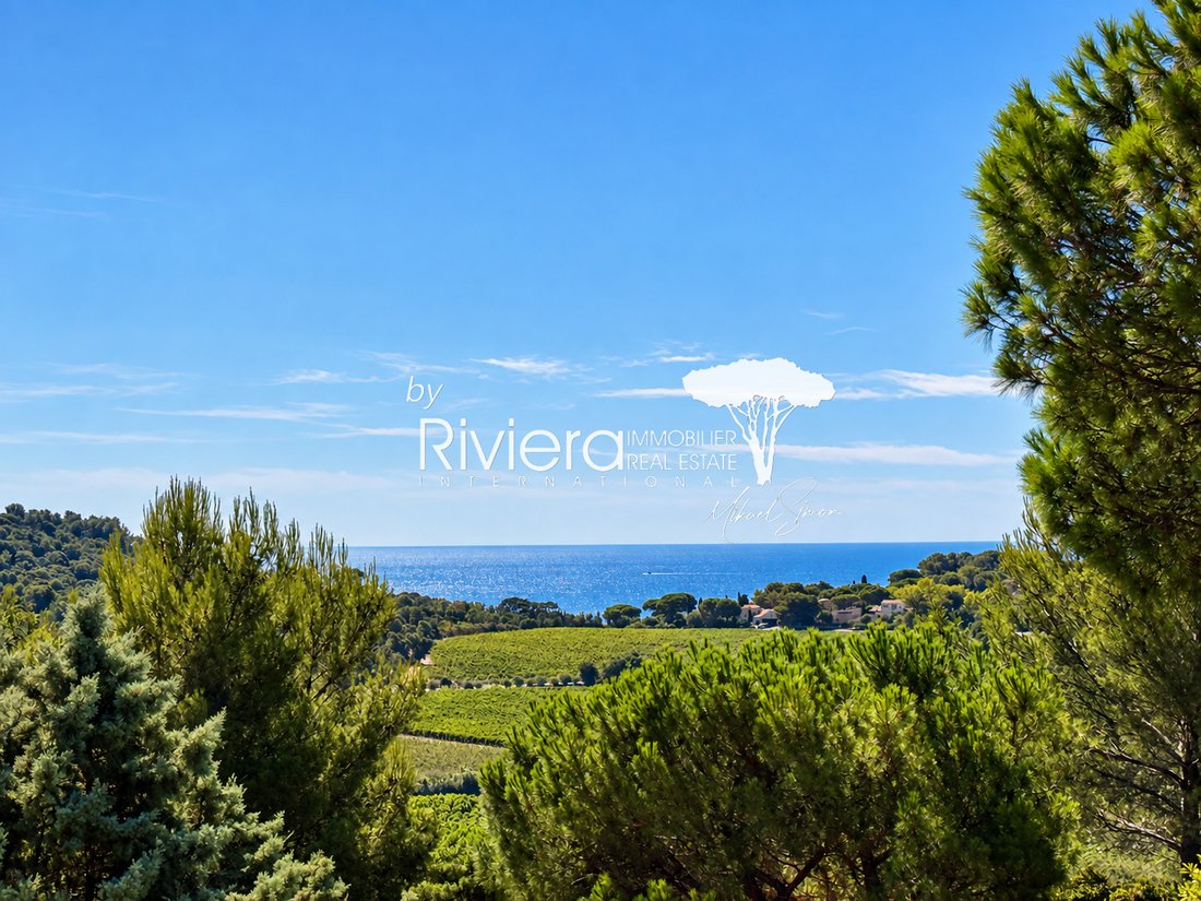 Estate in La Croix-Valmer, Provence-Alpes-Côte d'Azur, France 2 - 18689830