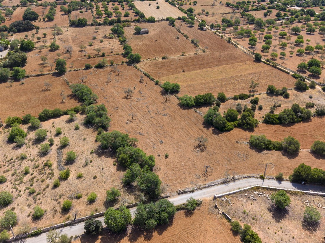 Terrain à Felanitx, Îles Baléares, Espagne 2 - 18748041
