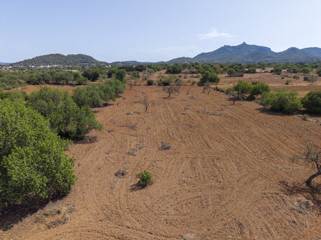 Terrain à Felanitx, Îles Baléares, Espagne 5 - 18748041