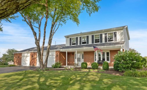 Casa a Pingree Grove, Illinois, Stati Uniti 1