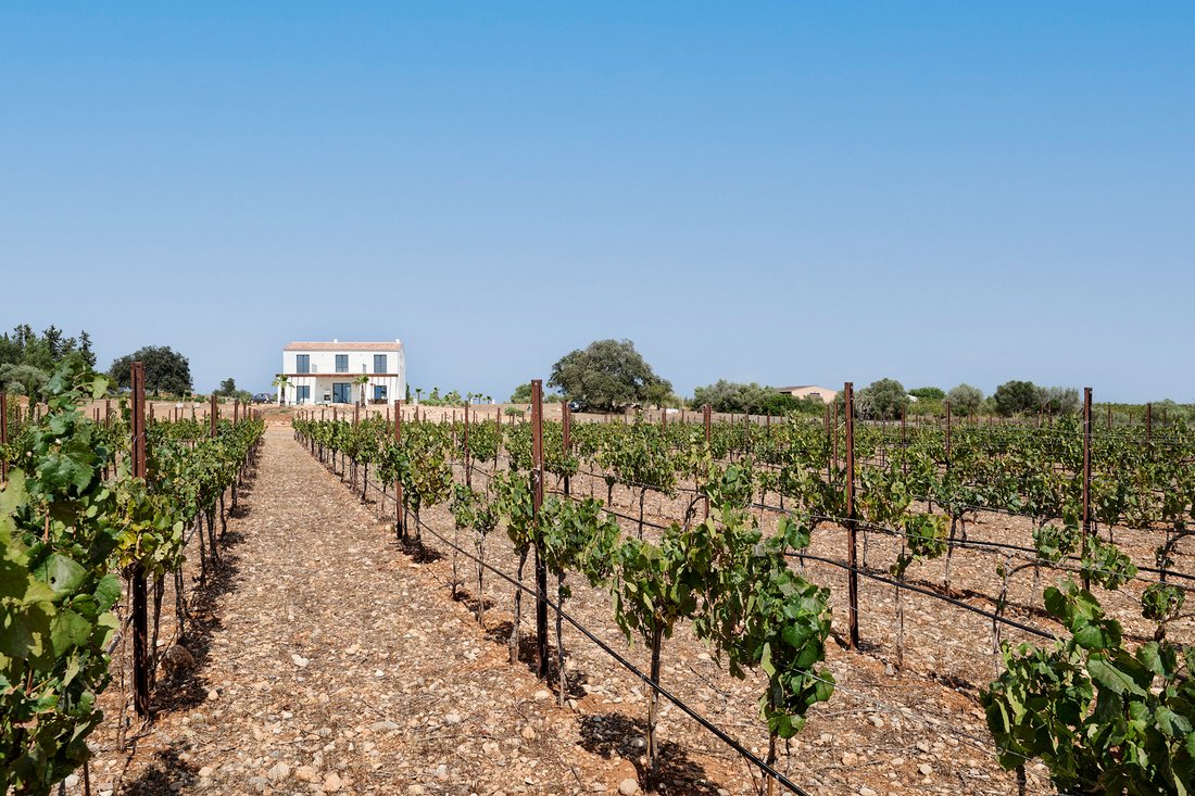 Finca en Santa María del Camino, Islas Baleares, España 2 - 18748280