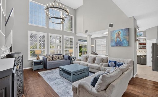 House in Frisco, Texas, United States 1