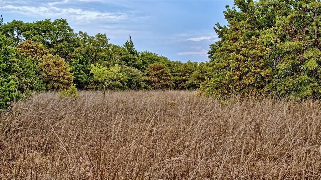 Land in Nocona, Texas, United States 4 - 18753672