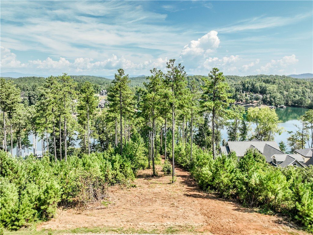 Terreno a Six Mile, Carolina del Sud, Stati Uniti 4 - 18755851