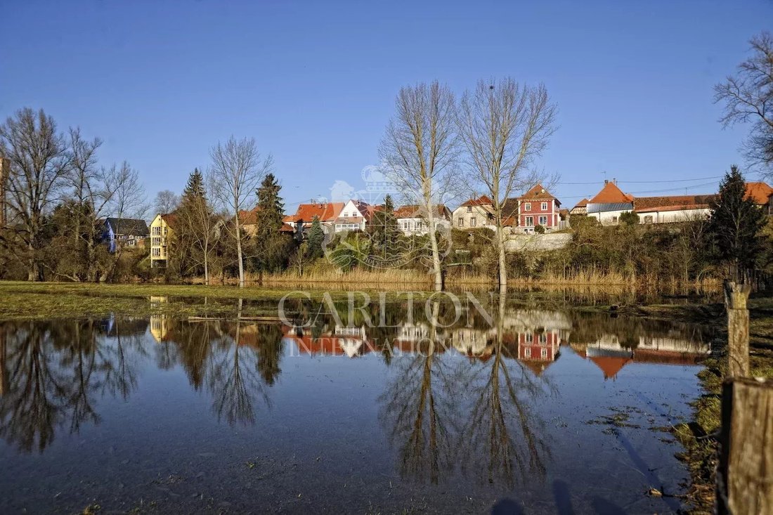 Domaine à Seltz, Grand Est, France 2 - 18749074