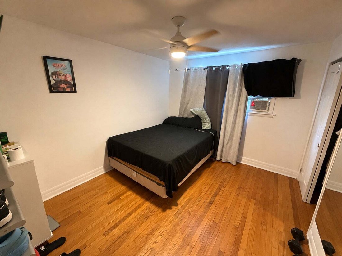 Altro a Bellwood, Illinois, Stati Uniti 5 - 18752021