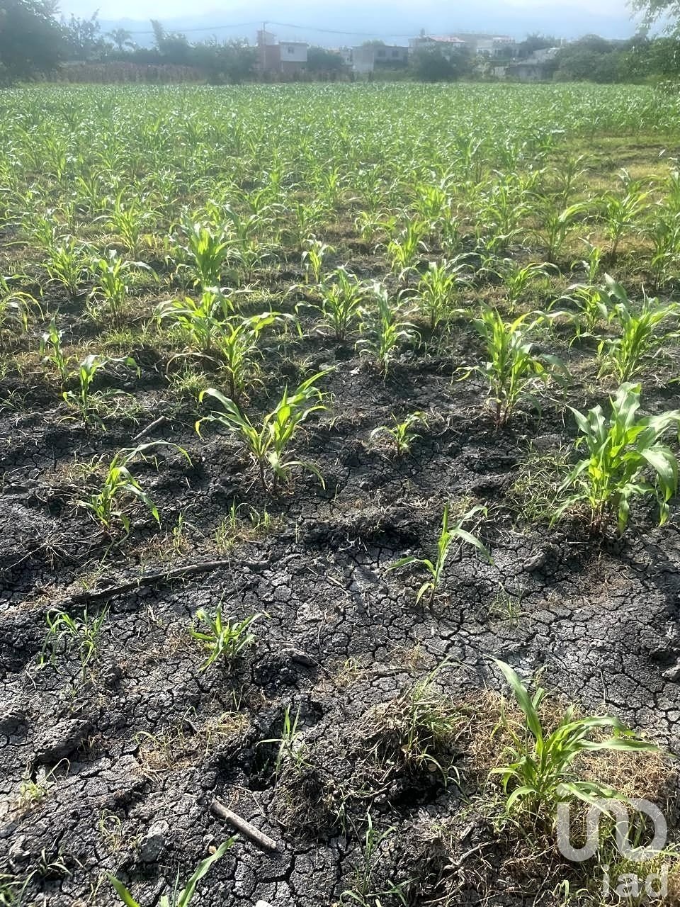 Terreno en Cuernavaca, Morelos, México 5 - 18759562