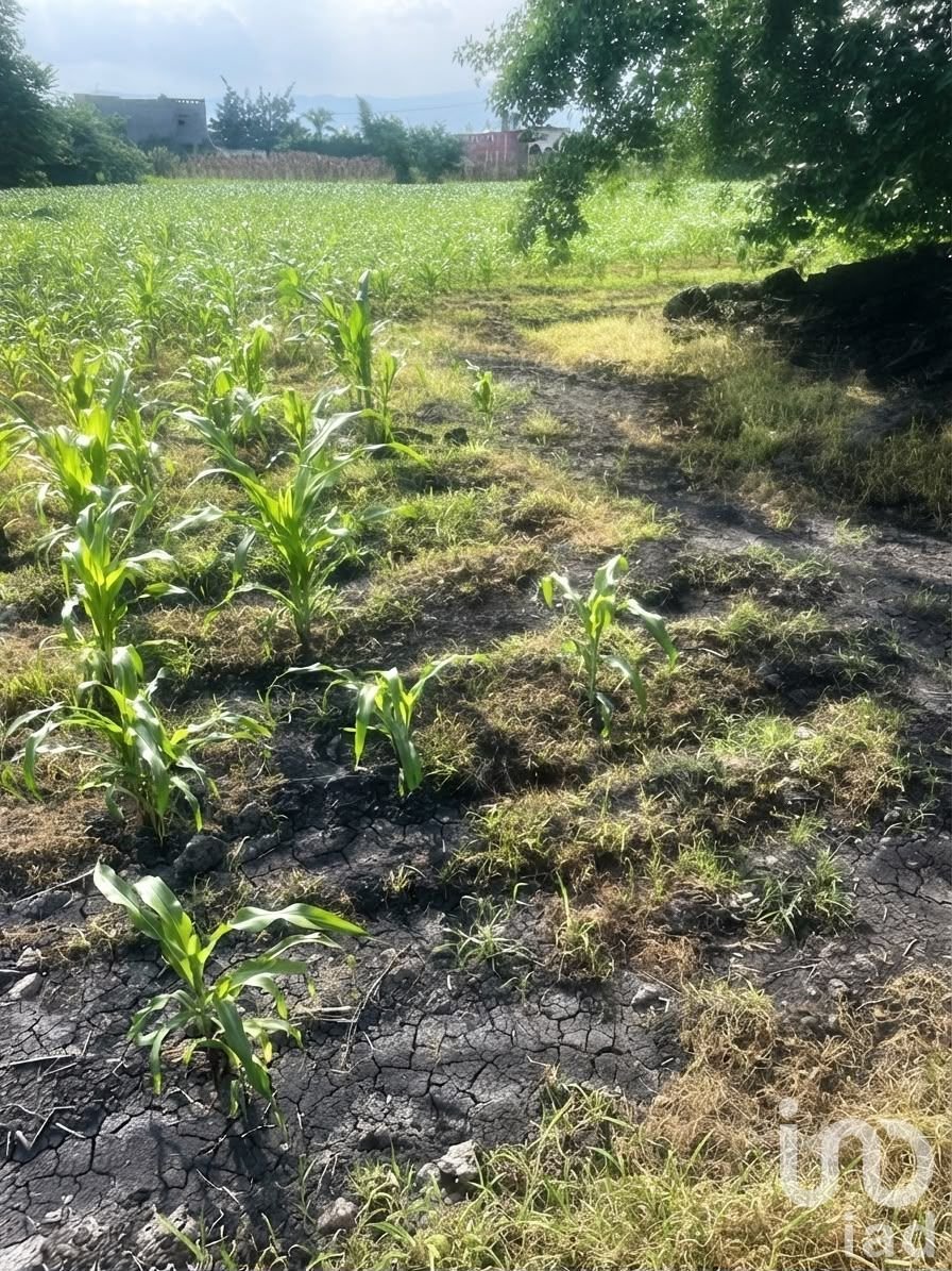 Terreno en Cuernavaca, Morelos, México 1 - 18759562