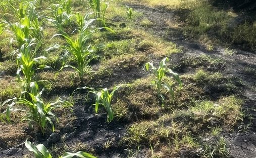 Terreno en Cuernavaca, Morelos, México 1
