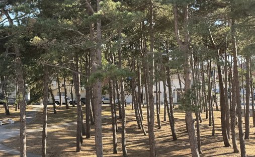 Villa à Littoral, Le Touquet-Paris-Plage, France 1