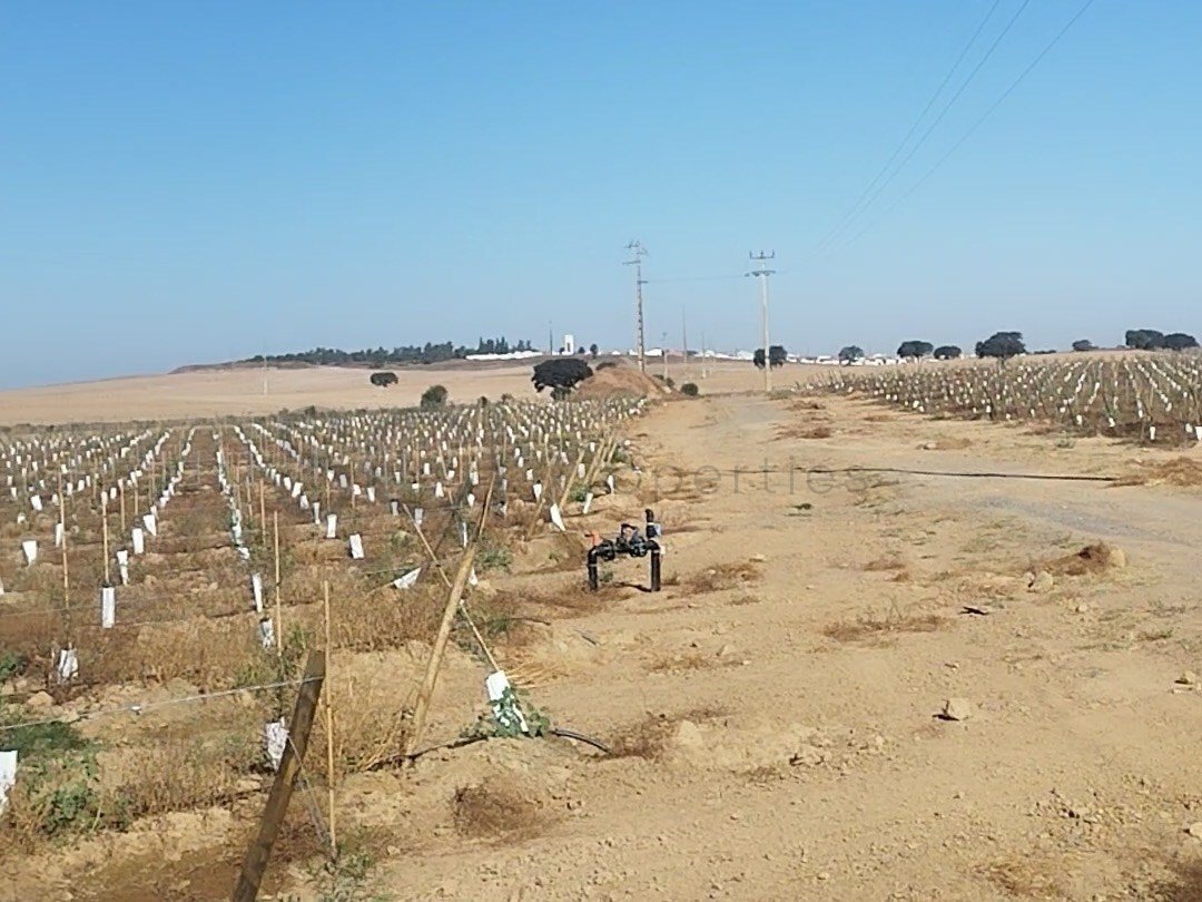 Terreno en Cuba, Distrito de Beja, Portugal 3 - 18756439