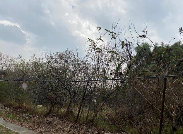 Terreno en Naucalpan de Juárez, Estado de México, México 4 - 18750156
