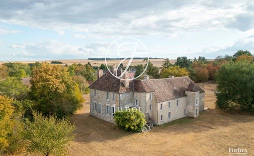 Castello a Gravon, Isola di Francia, Francia 1