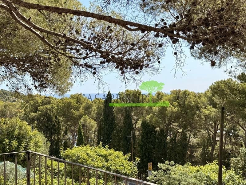 Casa en Llafranch, Palafrugell, Cataluña 2 - 18756154