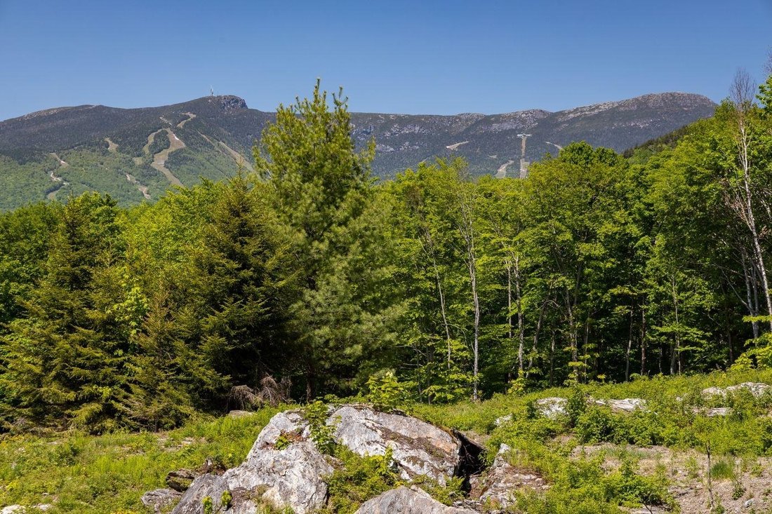 Land in Stowe, Vermont, Vereinigte Staaten 4 - 18755253