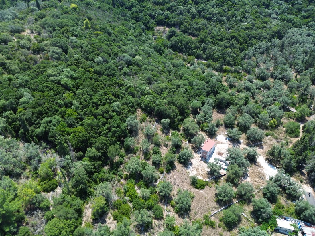 Land in Community of Katomeri, Peloponnese, Western Greece and the Ionian, Griechenland 2 - 18756138