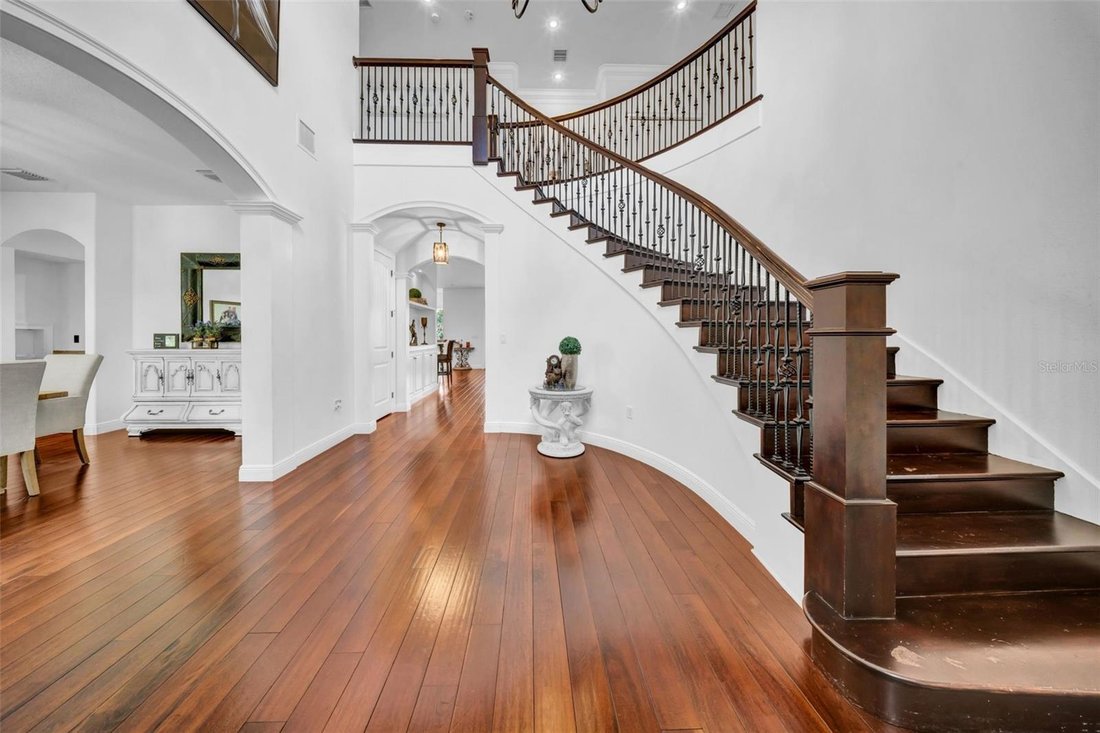 House in Lithia, Florida, United States 3 - 18759466