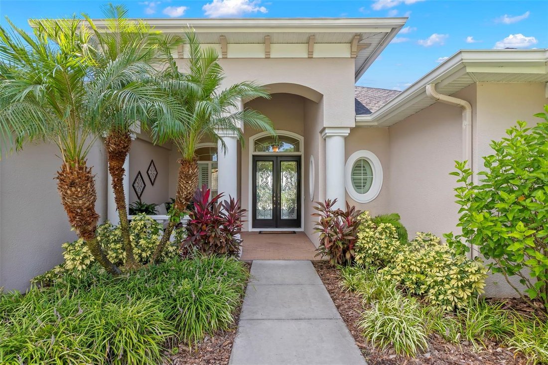 Haus in Safety Harbor, Florida, Vereinigte Staaten 3 - 18757063