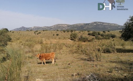 Land in Badajoz, Extremadura, Spain 1