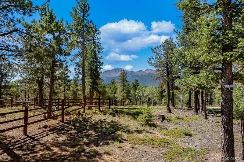 Maison à Cascade-Chipita Park, Colorado, Colorado, États-Unis 5 - 18750781