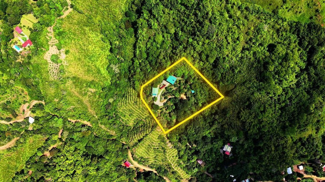 Haus in Pérez Zeledón, Pérez Zeledón, Costa Rica 3 - 18755203